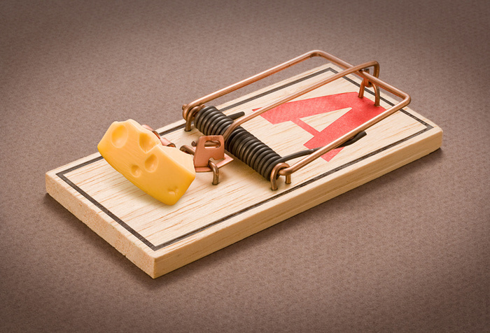 Mouse Traps That Work The Best