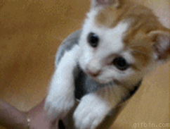 ""