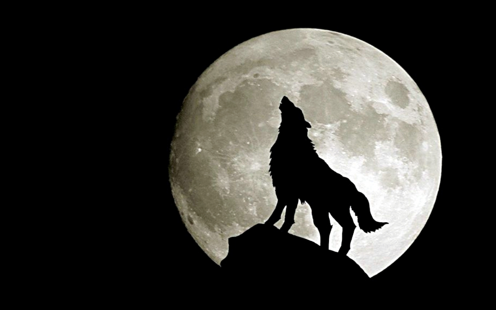 wolfs